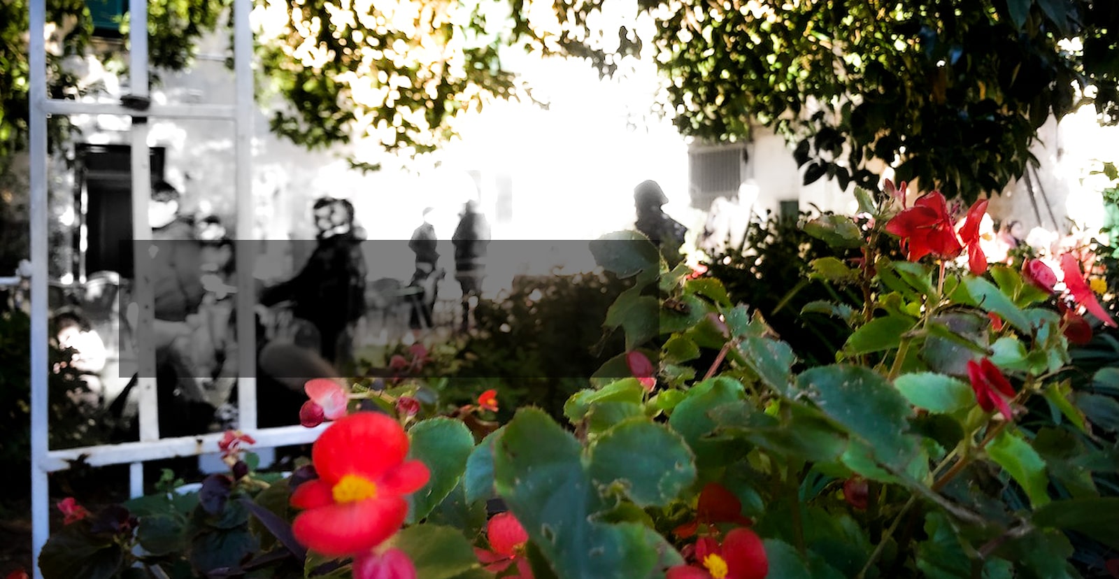 LA CASA NEL PARCO